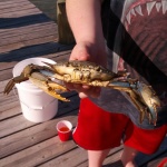 Crabbing at the 2014 Family Reunion